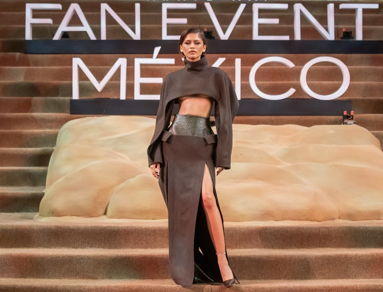 MEXICO CITY, MEXICO - FEBRUARY 6: Zendaya attends the red carpet for the movie 'Dune: Part Two' at A...